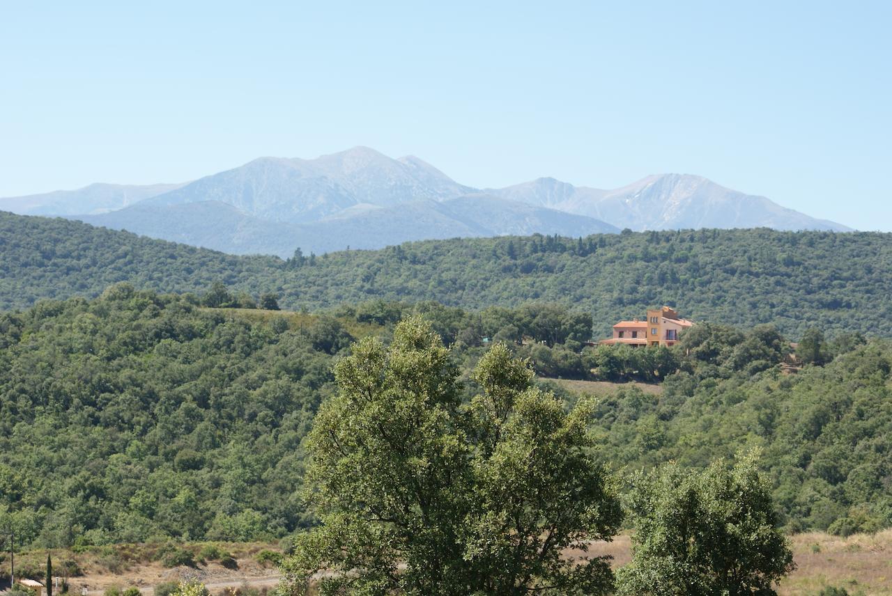 Mas La Marchette Bed and Breakfast Céret Exteriör bild