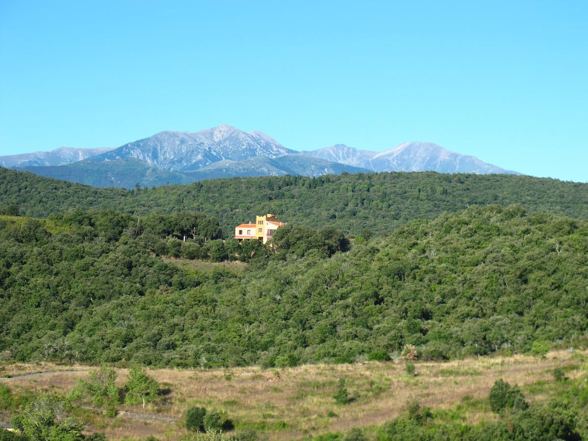 Mas La Marchette Bed and Breakfast Céret Exteriör bild