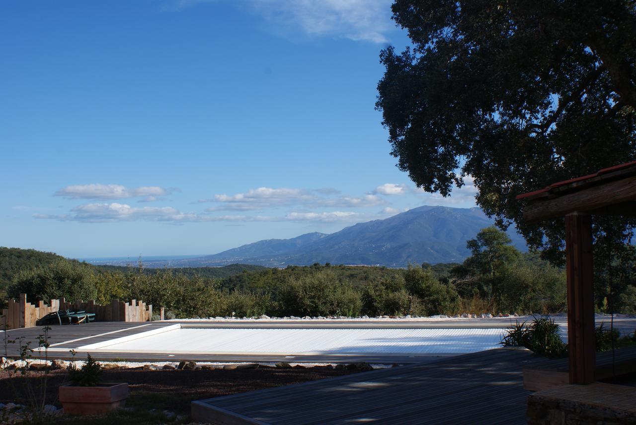 Mas La Marchette Bed and Breakfast Céret Exteriör bild